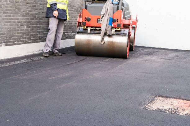 Best Driveway Maintenance Services  in Windermere, FL